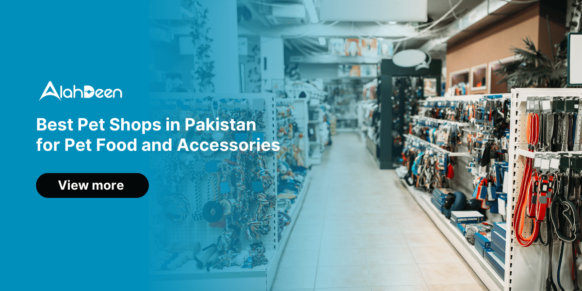 Pet shops in Pakistan for pet food and accessories