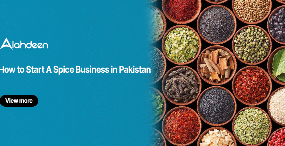 How to start a spice business in Pakistan – Alahdeen B2B wholesale guide with fresh spices