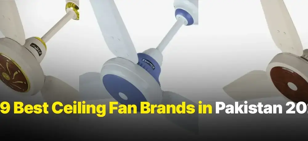 Best Ceiling Fan
