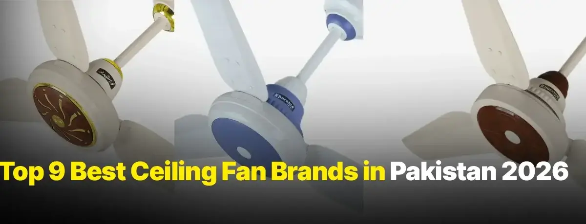 Best Ceiling Fan
