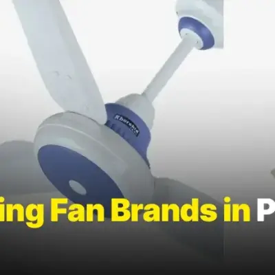 Best Ceiling Fan
