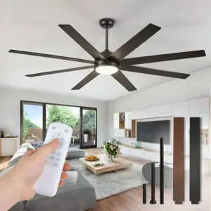 Celling Fan 