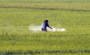 Pesticides and insecticides