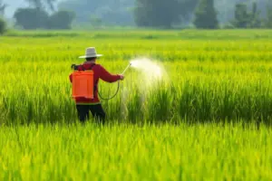 Insecticides and Pesticides Price in Pakistan