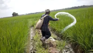 Agriculture Fertilizer