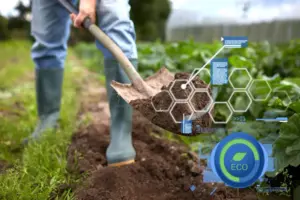 Agriculture Fertilizer Suppliers