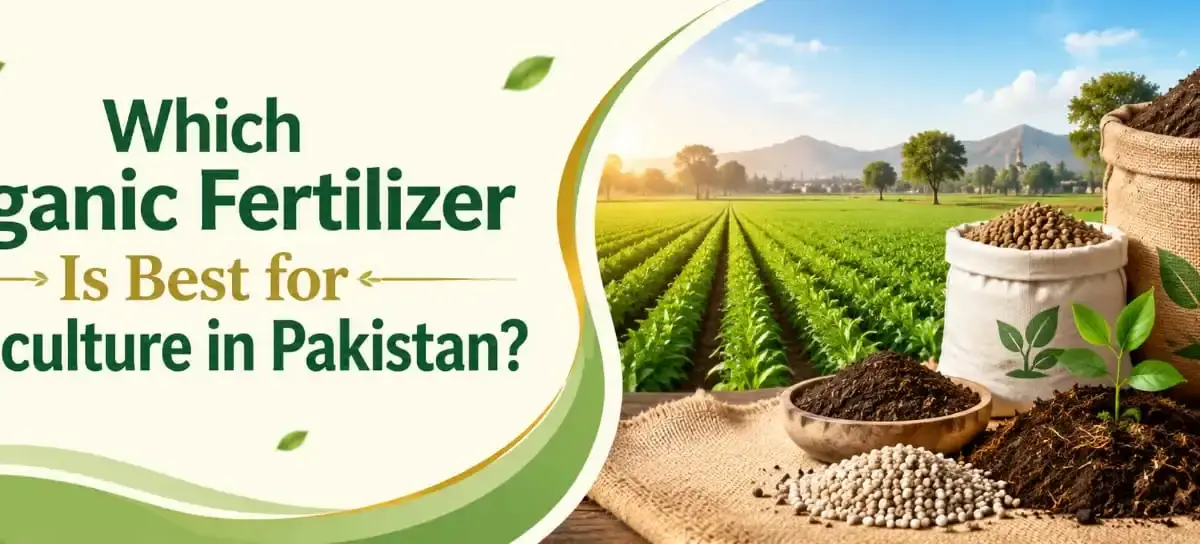 Organic Fertilizer