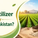 Organic Fertilizer