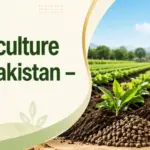 Organic Fertilizers Price in Pakistan