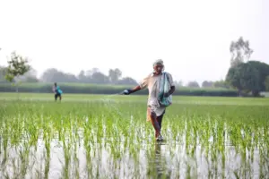 Organic Agriculture Fertilizer in Pakistan