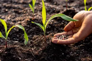 Organic Agriculture Fertilizer