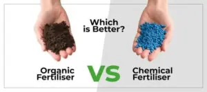 Organic vs Chemical Fertilizers in Pakistan
