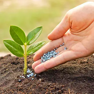 Fertilizer and Pesticides