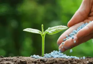 Best Fertilizers in Pakistan