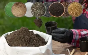  Fertilizer for Agriculture in Pakistan